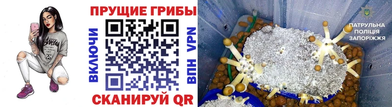 Галлюциногенные грибы Magic Shrooms  Купить закладки  Островной 